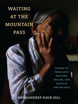 cover image of Waiting at the Mountain Pass